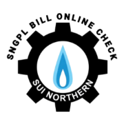 SNGPL Bill Online