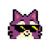 Sociocat