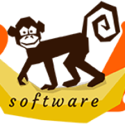 Software Business Plan