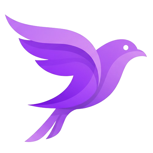 Sora Video Downloader
