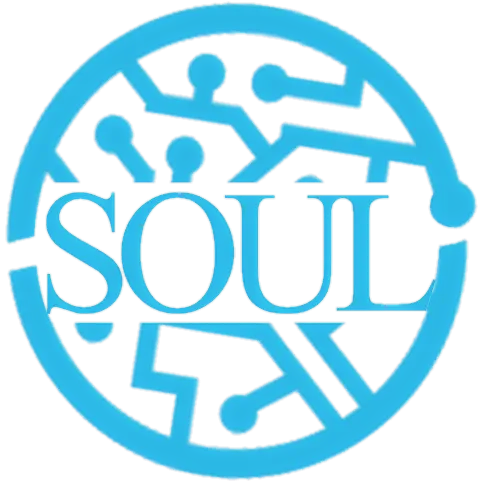 SOUL Limited