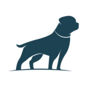 Southend Dog Training