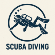 South Florida Dive Cams