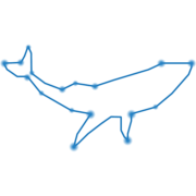 Spacewhales