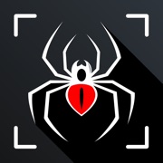 Spider Identifier