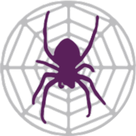 Spider Project