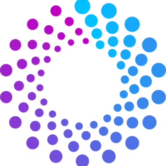 Spinsight
