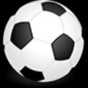 Sports Field Cost