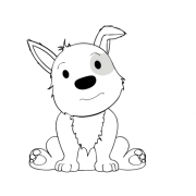 Spot Survey