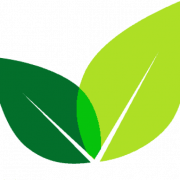 Sprig Learning