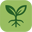 SproutSpace