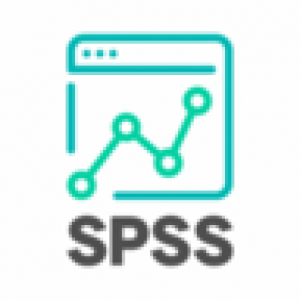 SPSS Analytics Partner