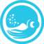 Sqquid