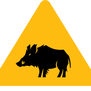 Squeal on Pigs!