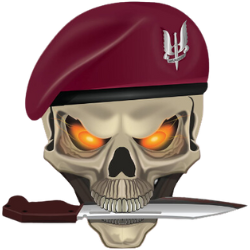 SSB ACE