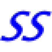 Shin System Design