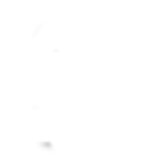 SSFácil