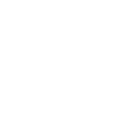 SSIP