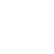 SSIP Portal