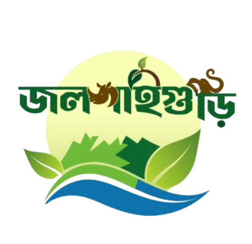 Smart Solid Waste Management