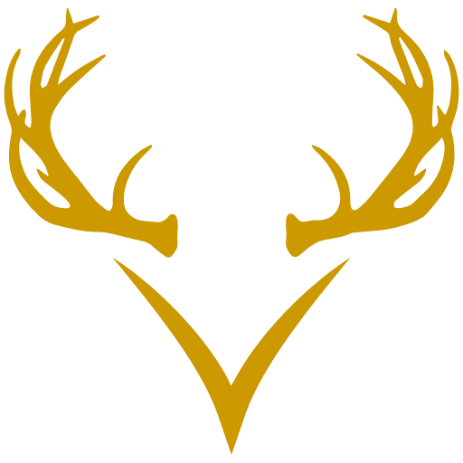 STAG-Tech