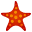 Starfish OMS