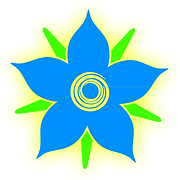 Starflower Solutions