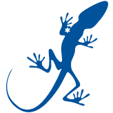 Starlizard