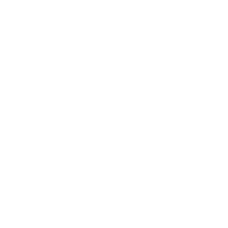 Stelia AI