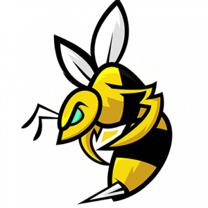 StingBox