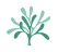 Stoneflower