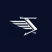 Stormbird