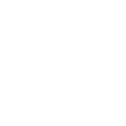 STORViX