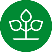 AOK