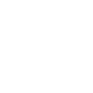 Stridist