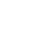 AIdviser