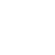 SubsTranslate