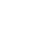 Suinsoft