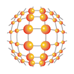 Sulcus