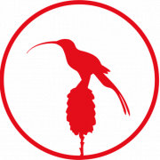 Sunbird Images