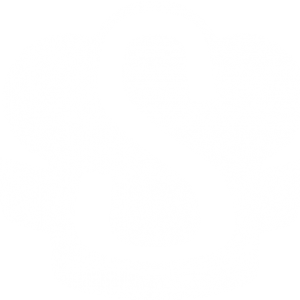 Suredine