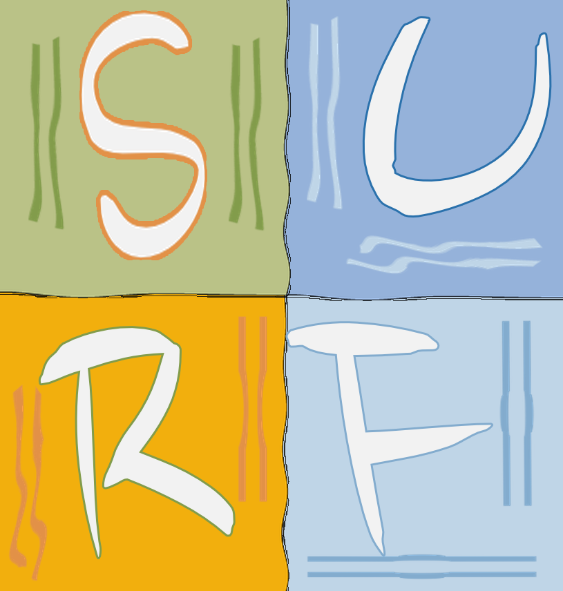 Surf New Media