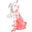 Surname Map