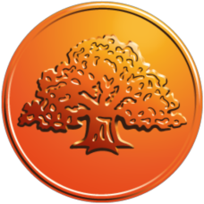 Swedbank Pay