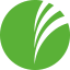 Swift Employment