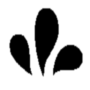 SwimOclock