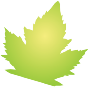 Sycamore Company