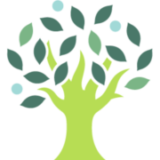 Sycamore Leaf Solutions