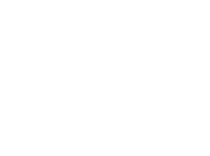 Sylus AI