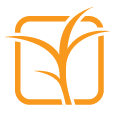 SymInvest